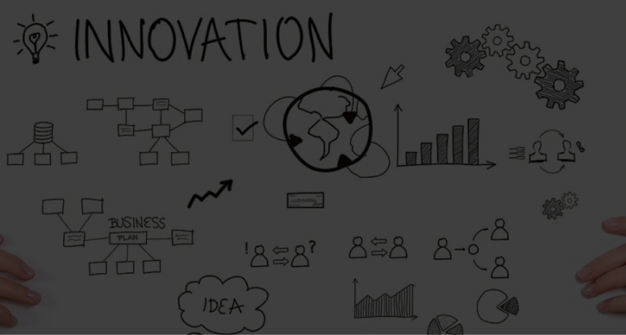 HZDR Innovation Transferdienstleistungen